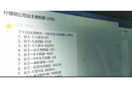 定安清数公司排名前十名:揭秘行业翘楚,助力企业决策 定安清数公司排名前十名:揭秘行业翘楚,助力企业决策