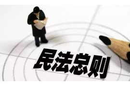苏宁0523的催收：揭秘电商巨头催收策略
