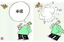 可 可