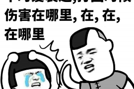 /img/473.png/img/473.png厦门讨债寻人公司有哪些？专业机构助您解决债务与寻人难题/img/473.png