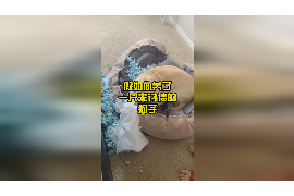追讨债务的工作怎么样?挑战与机遇并存 追讨债务的工作怎么样?挑战与机遇并存
